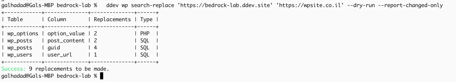 צילום מסך של פלט הפקודה ddev wp search-replace בטרמינל, עם סיכום הטבלאות וכמות ההחלפות בכל אחת